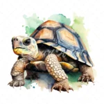 20 High-Quality Cute Tortoise Clipart - Cute tortoise digital watercolor JPG instant download for commercial use - Digital download