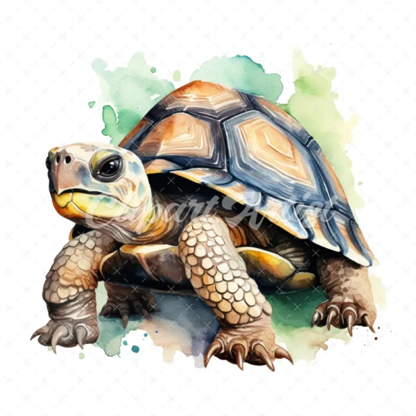 20 High-Quality Cute Tortoise Clipart - Cute tortoise digital watercolor JPG instant download for commercial use - Digital download