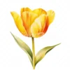 20 High-Quality Yellow Tulip Clipart - Yellow tulip digital watercolor JPG instant download for commercial use - Digital download