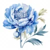 20 High-Quality Blue Peony Clipart - Blue peony flower digital watercolor JPG instant download for commercial use - Digital download
