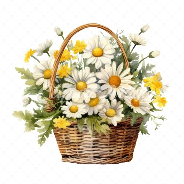 20 High-Quality Daisies Basket Clipart - Daisies basket digital watercolor JPG instant download for commercial use - Digital download