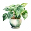 19 High-Quality Pot of Philodendron Clipart - Philodendron digital watercolor JPG instant download for commercial use - Digital download