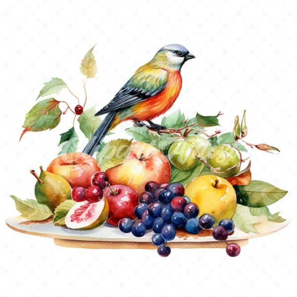 20 High-Quality Bird on Fruits Table Clipart - Bird fruits digital watercolor JPG instant download for commercial use - Digital download