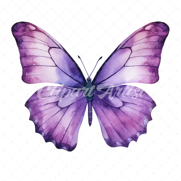 24 High-Quality Purple Butterfly Clipart - Purple butterfly digital watercolor JPG instant download for commercial use - Digital download