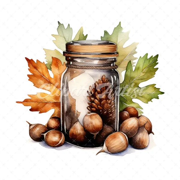 20 High-Quality Acorns Jar Clipart - Acorns jar digital watercolor JPG instant download for commercial use - Digital download