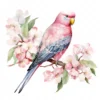 18 High-Quality Pink Bourke Parakeet Clipart - Pink parakeet digital watercolor JPG instant download for commercial use - Digital download