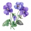 20 High-Quality Violets Clipart - Violets clipart digital watercolor JPG instant download for commercial use - Digital download