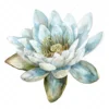 19 High-Quality Delicate Water Lily Clipart - Water lily digital watercolor JPG instant download for commercial use - Digital download