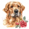 20 High-Quality Golden Retriever Clipart - Golden retriever digital watercolor JPG instant download for commercial use - Digital download