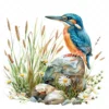 20 High-Quality Floral Kingfisher Clipart - Floral kingfisher digital watercolor JPG instant download for commercial use - Digital download