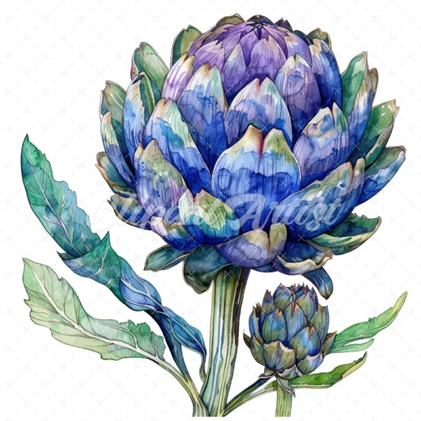 20 High-Quality Artichoke Clipart - Artichoke flower digital watercolor JPG instant download for commercial use - Digital download