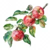 20 High-Quality Apple Branch Clipart - Apple branch watercolor JPG instant download for commercial use - Digital download