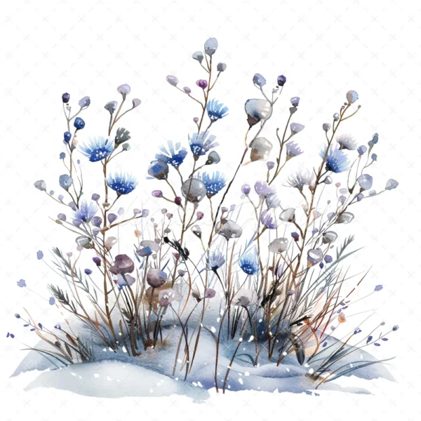 22 High-Quality Winter Wildflowers Clipart - Winter wildflowers watercolor JPG instant download for commercial use - Digital download