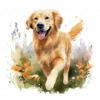 20 High-Quality Golden Retriever Clipart - Golden retriever digital watercolor JPG instant download for commercial use - Digital download