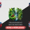 Puerto Rico (P-3) PNG Clipart Collection - 57 PNG, Tropical travel illustrations, Puerto rico island prints, Commercial use,Digital download