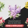 Wedding Flowers Watercolor Clipart Bundle - 545+ transparent PNG, Floral wedding elements, Bride's bouquet, Commercial use, Digital download
