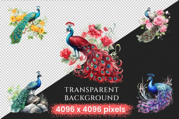 Peacocks Watercolor Clipart Bundle - 205+ transparent PNG, Regal bird illustrations, Colorful peacocks png, Commercial use, Digital download