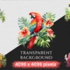 Parrots Watercolor Clipart Bundle - 205+ transparent PNG, Tropical parrot summer graphics, Parrots clipart, Commercial use, Digital download
