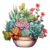 19 High-Quality Boho Succulent Pot Clipart - Succulent pot digital watercolor JPG instant download for commercial use - Digital download