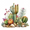 20 High-Quality Desert Cacti Clipart - Desert cacti digital watercolor JPG instant download for commercial use - Digital download