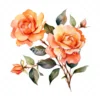 20 High-Quality Orange Rose Clipart - Orange rose digital watercolor JPG instant download for commercial use - Digital download