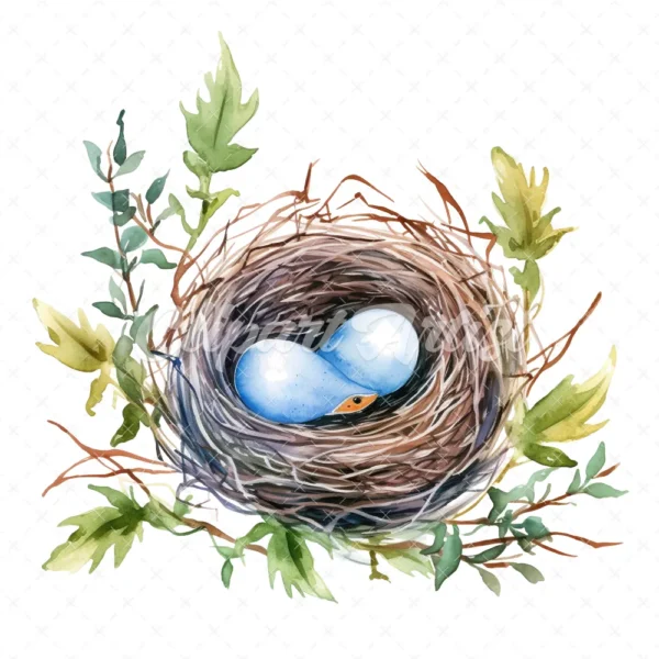 20 High-Quality Bird Nest Clipart - Bird nest digital watercolor JPG instant download for commercial use - Digital download