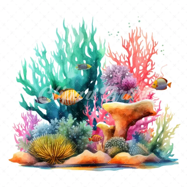 19 High-Quality Reef Clipart - Reef digital watercolor JPG instant download for commercial use - Digital download