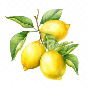 20 High-Quality Lemon Boutique Clipart - Lemon boutique digital watercolor JPG instant download for commercial use - Digital download