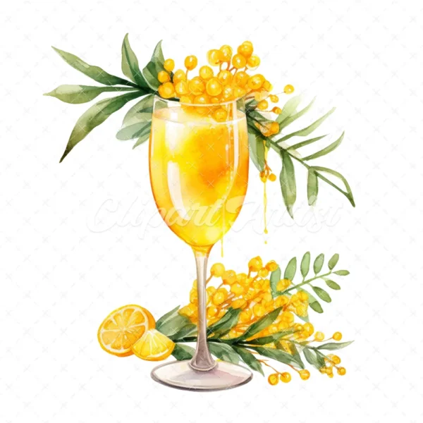 20 High-Quality Mimosa Cocktail Clipart - Mimosa cocktail digital watercolor JPG instant download for commercial use - Digital download