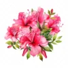 20 High-Quality Hot Pink Azalea Bouquet Clipart - Hot Azalea digital watercolor JPG instant download for commercial use - Digital download