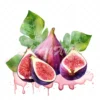 23 High-Quality Fig Clipart - Fig digital watercolor JPG instant download for commercial use - Digital download