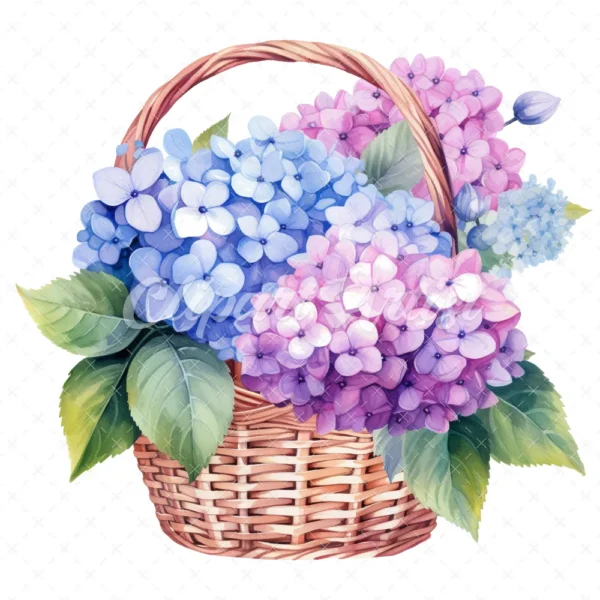 20 High-Quality Hydrangea Basket Clipart - Hydrangea basket digital watercolor JPG instant download for commercial use - Digital download