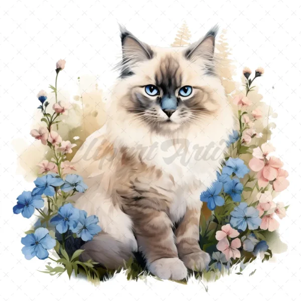 20 High-Quality Ragdoll Cats Clipart - Ragdoll cat digital watercolor JPG instant download for commercial use - Digital download