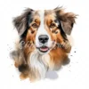 20 High-Quality Australian Shepherd Clipart - Shepherd digital watercolor JPG instant download for commercial use - Digital download