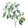 20 High-Quality Eucalyptus Clipart - Eucalyptus digital watercolor JPG instant download for commercial use - Digital download