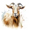 20 High-Quality Kiko Goat Clipart - Kiko goat digital watercolor JPG instant download for commercial use - Digital download