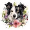 20 High-Quality Floral Border Collie Clipart - Border collie digital watercolor JPG instant download for commercial use - Digital download