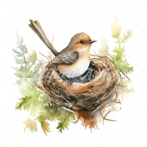 19 High-Quality Wren Nest Clipart - Wren nest digital watercolor JPG instant download for commercial use - Digital download