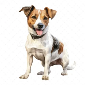 20 High-Quality Jack Russell Clipart - Jack russell digital watercolor JPG instant download for commercial use - Digital download