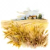 19 High-Quality Wheat Farm Clipart - Wheat farm digital watercolor JPG instant download for commercial use - Digital download