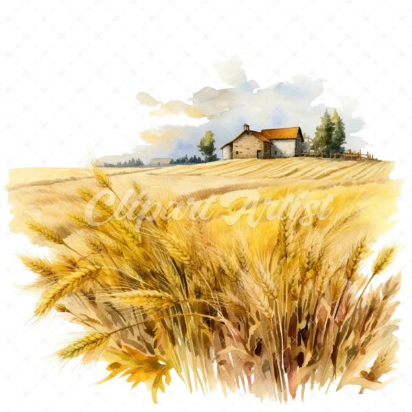19 High-Quality Wheat Farm Clipart - Wheat farm digital watercolor JPG instant download for commercial use - Digital download