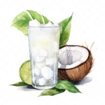 20 High-Quality Coconut Drink Clipart - Coconut drink digital watercolor JPG instant download for commercial use - Digital download
