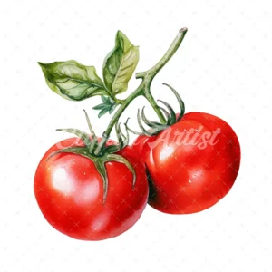 19 High-Quality Tomato Clipart - tomato digital watercolor JPG instant download for commercial use - Digital download