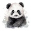 20 High-Quality Baby Panda Portrait Clipart - Panda Portrait digital watercolor JPG instant download or commercial use - Digital download