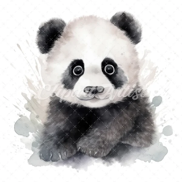 20 High-Quality Baby Panda Portrait Clipart - Panda Portrait digital watercolor JPG instant download or commercial use - Digital download