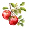 19 High-Quality Apples on Branch Clipart - Apple Barbecue digital watercolor JPG instant download for commercial use - Digital download