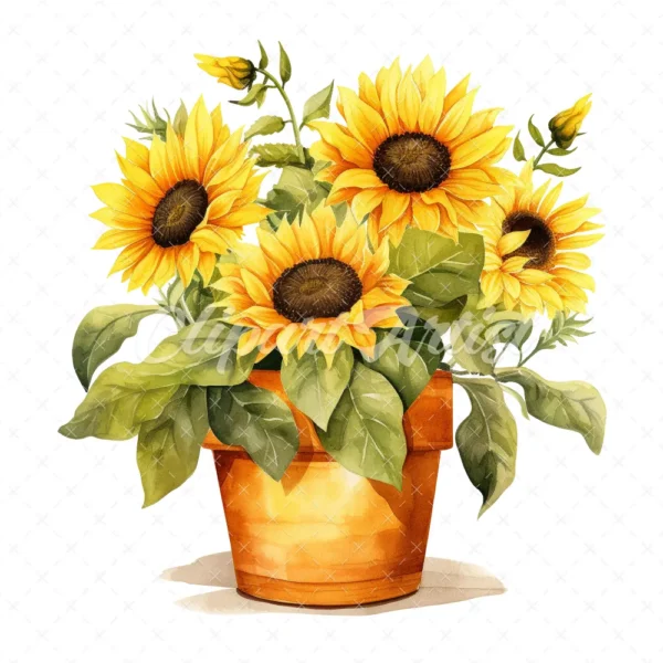 20 High-Quality Sunflower Planters Clipart - Sunflower plant digital watercolor JPG instant download for commercial use - Digital download