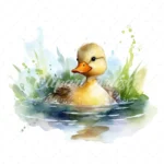 20 High-Quality Cute Duck Clipart - Cute duck digital watercolor JPG instant download for commercial use - Digital download