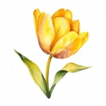 20 High-Quality Yellow Tulip Clipart - Yellow tulip digital watercolor JPG instant download for commercial use - Digital download