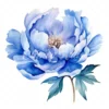 20 High-Quality Blue Peony Clipart - Blue peony flower digital watercolor JPG instant download for commercial use - Digital download
